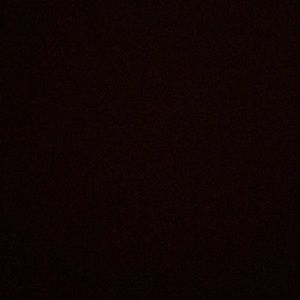 Meet your Posher, Carmen